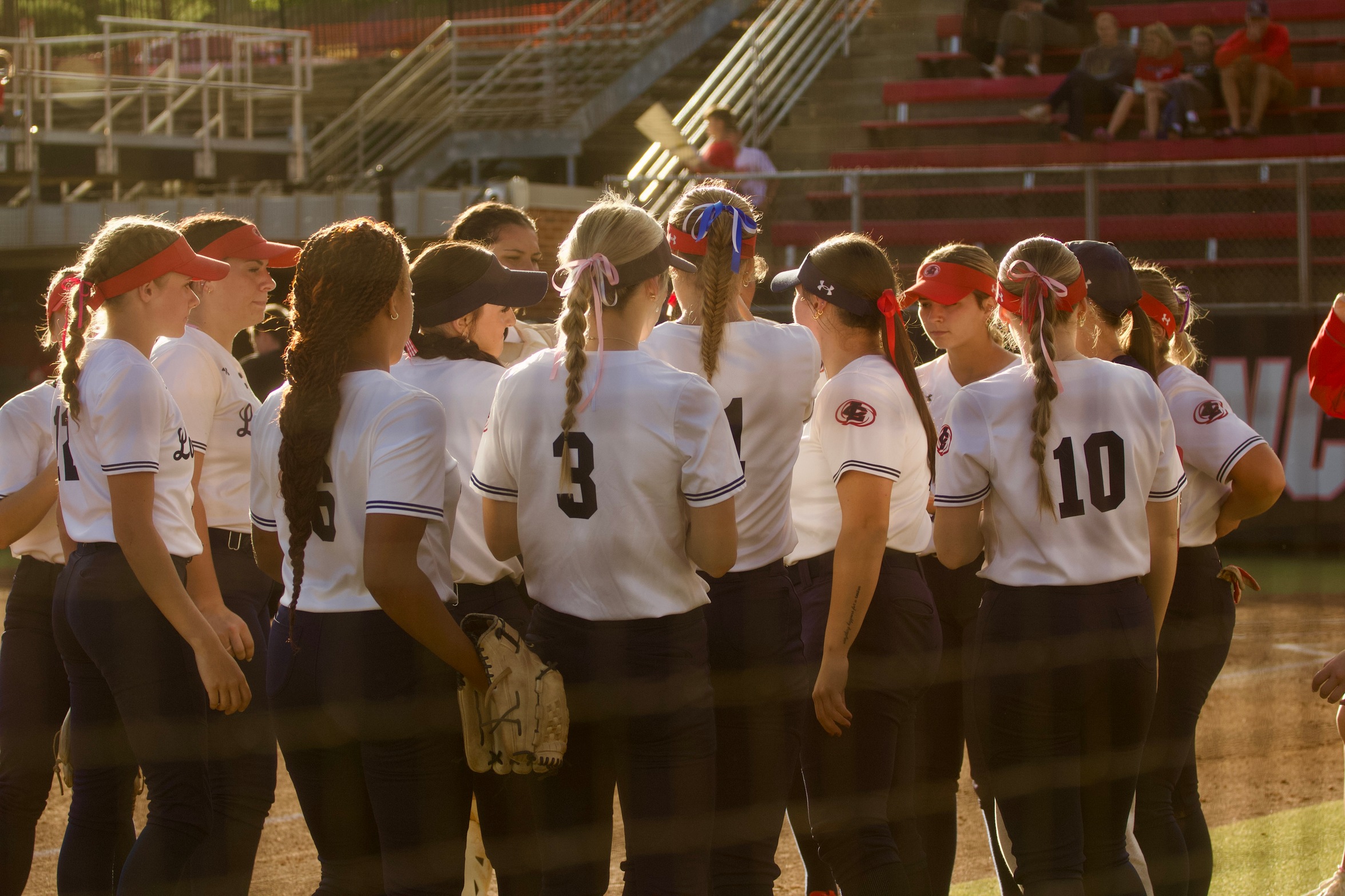 Softball Team Hudle